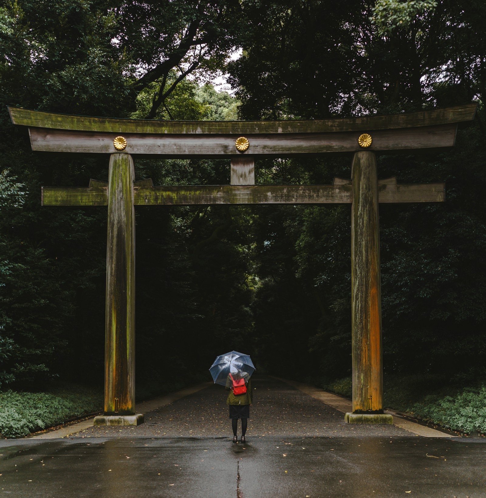 A torii gate at Meiji Jingu
